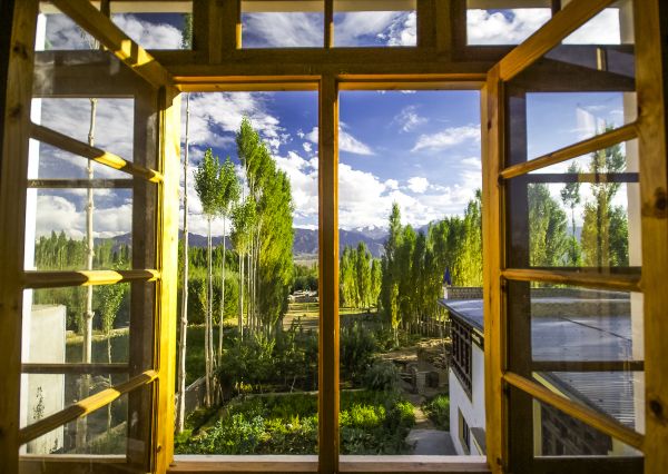 Wood Window Replacement in Palestine
